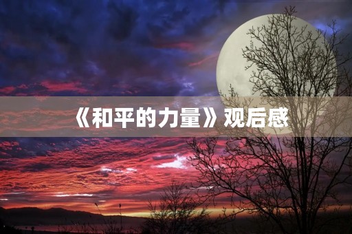 《和平的力量》观后感