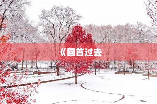 《回首过去,展望未来——年终工作总结结尾》
