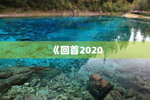 《回首2020,感悟人生》