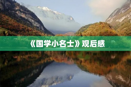 《国学小名士》观后感