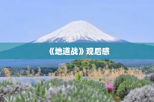 《地道战》观后感