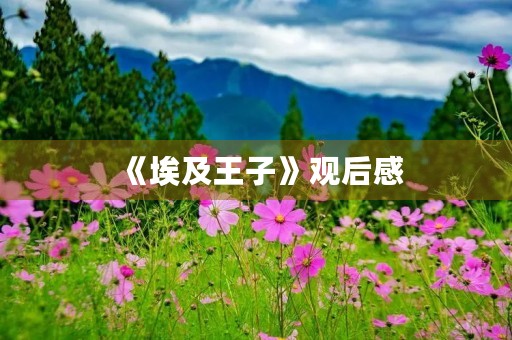 《埃及王子》观后感 《埃及王子》观后感