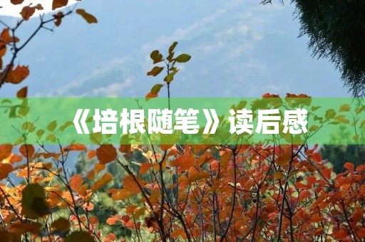 《培根随笔》读后感