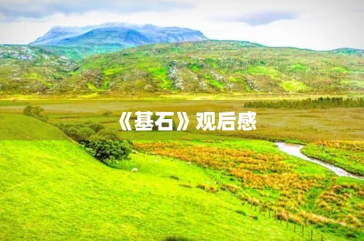 《基石》观后感