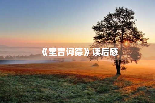 《堂吉诃德》读后感
