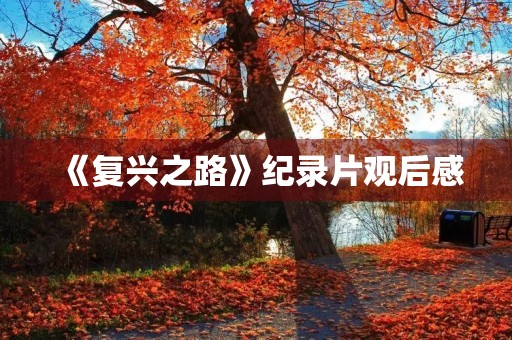 《复兴之路》纪录片观后感 《复兴之路》纪录片观后感