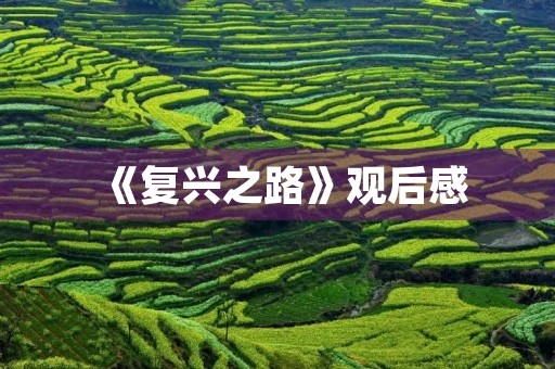 《复兴之路》观后感