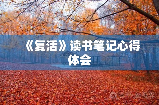《复活》读书笔记心得体会