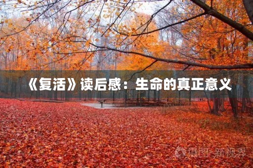 《复活》读后感：生命的真正意义