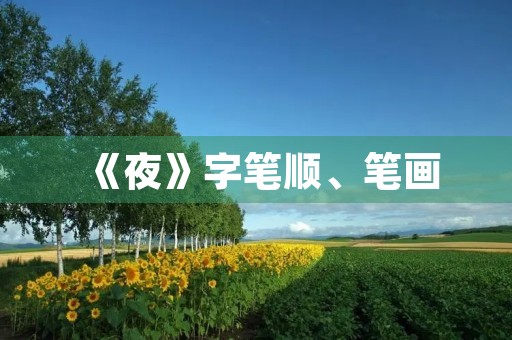 《夜》字笔顺、笔画(夜的部首)