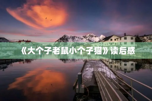 《大个子老鼠小个子猫》读后感 《大个子老鼠小个子猫》读后感