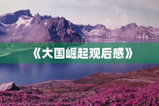 《大国崛起观后感》 《大国崛起观后感》