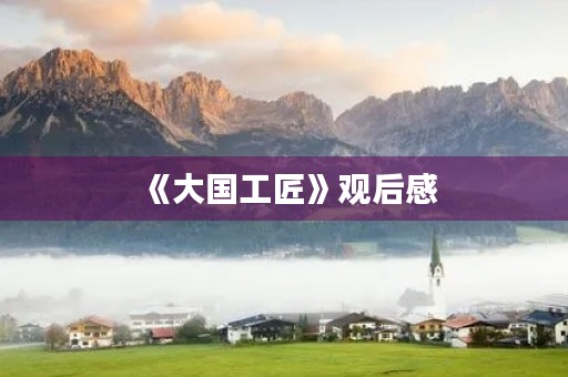 《大国工匠》观后感