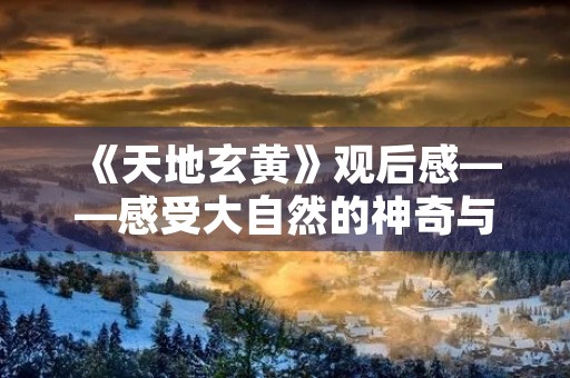 《天地玄黄》观后感——感受大自然的神奇与美妙