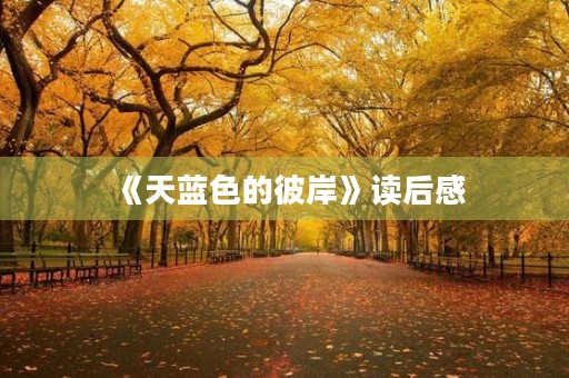 《天蓝色的彼岸》读后感