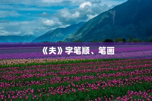 《夫》字笔顺、笔画(夫的组词) 《夫》字笔顺、笔画(夫的组词)