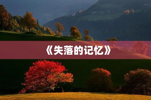 《失落的记忆》 《失落的记忆》