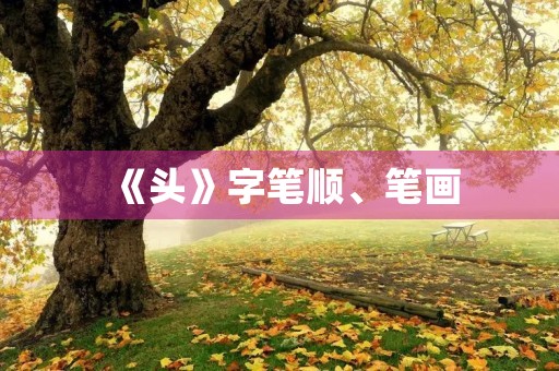 《头》字笔顺、笔画(头的笔顺) 《头》字笔顺、笔画(头的笔顺)