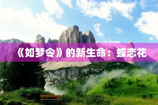 《如梦令》的新生命：蝶恋花