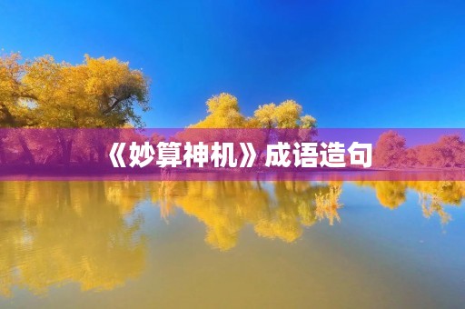 《妙算神机》成语造句 《妙算神机》成语造句