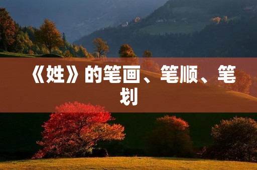 《姓》的笔画、笔顺、笔划(姓的笔画顺序) 《姓》的笔画、笔顺、笔划(姓的笔画顺序)