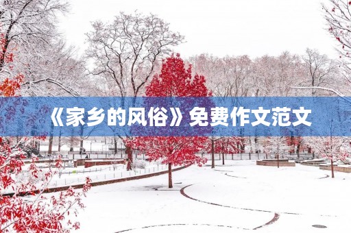 《家乡的风俗》免费作文范文