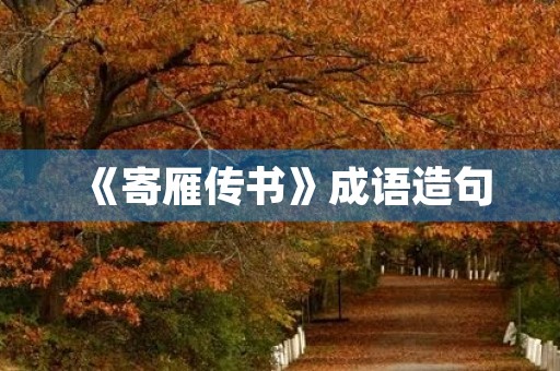 《寄雁传书》成语造句 《寄雁传书》成语造句