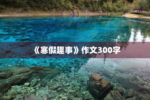 《寒假趣事》作文300字