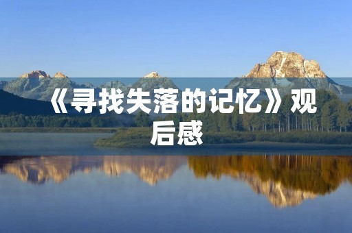 《寻找失落的记忆》观后感
