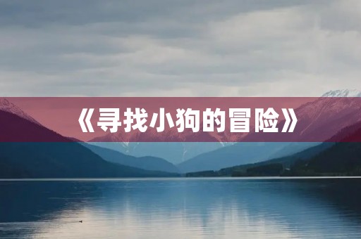 《寻找小狗的冒险》