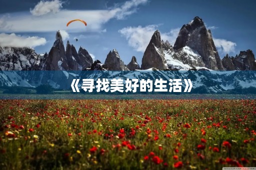 《寻找美好的生活》