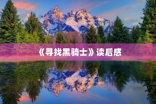 《寻找黑骑士》读后感