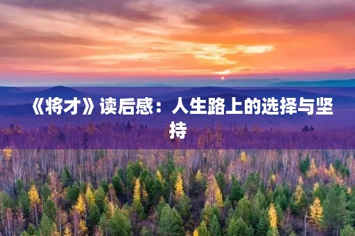 《将才》读后感：人生路上的选择与坚持
