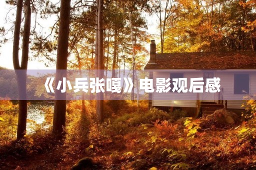 《小兵张嘎》电影观后感