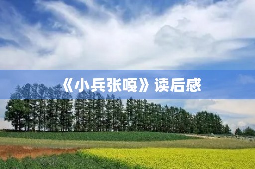 《小兵张嘎》读后感 《小兵张嘎》读后感
