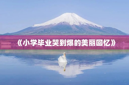 《小学毕业哭到爆的美丽回忆》