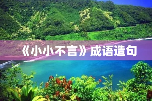 《小小不言》成语造句 《小小不言》成语造句