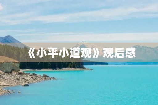 《小平小道观》观后感