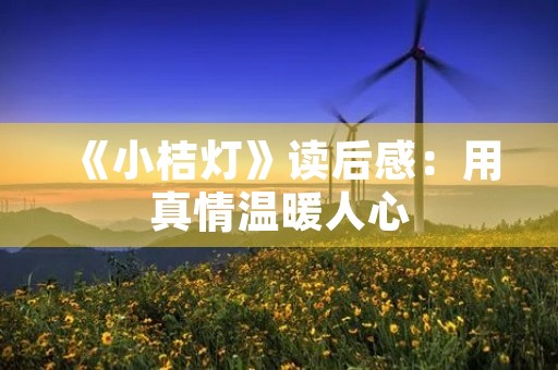 《小桔灯》读后感：用真情温暖人心