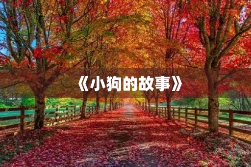 《小狗的故事》 《小狗的故事》