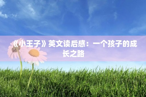 《小王子》英文读后感：一个孩子的成长之路