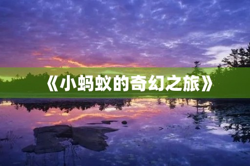 《小蚂蚁的奇幻之旅》 《小蚂蚁的奇幻之旅》