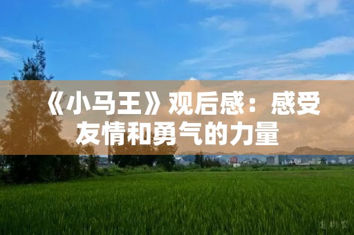 《小马王》观后感:感受友情和勇气的力量 《小马王》观后感:感受友情和勇气的力量