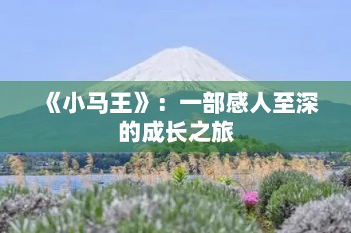 《小马王》：一部感人至深的成长之旅