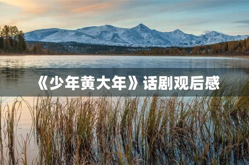 《少年黄大年》话剧观后感