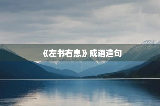 《左书右息》成语造句 《左书右息》成语造句