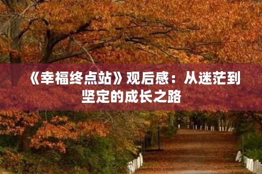 《幸福终点站》观后感：从迷茫到坚定的成长之路