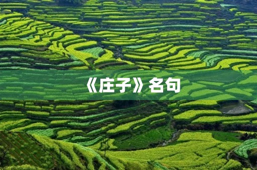 《庄子》名句(庄子名句100句) 《庄子》名句(庄子名句100句)