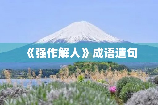 《强作解人》成语造句 《强作解人》成语造句