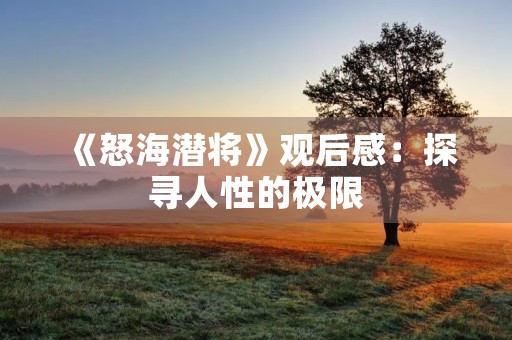 《怒海潜将》观后感:探寻人性的极限 《怒海潜将》观后感:探寻人性的极限